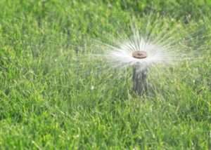 irrigation management