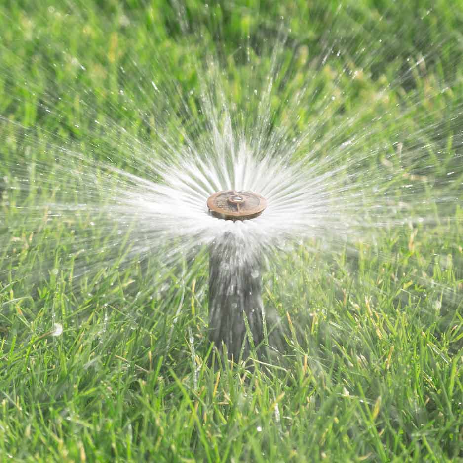 Lawn Irrigation Shoreview