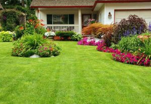 lawn sprinkler system St Paul