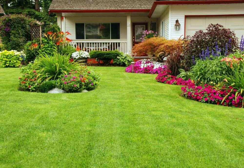 healthy grass due to turf management with house and landscaping in background