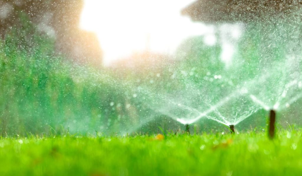 sprinklers spraying water on green lawn